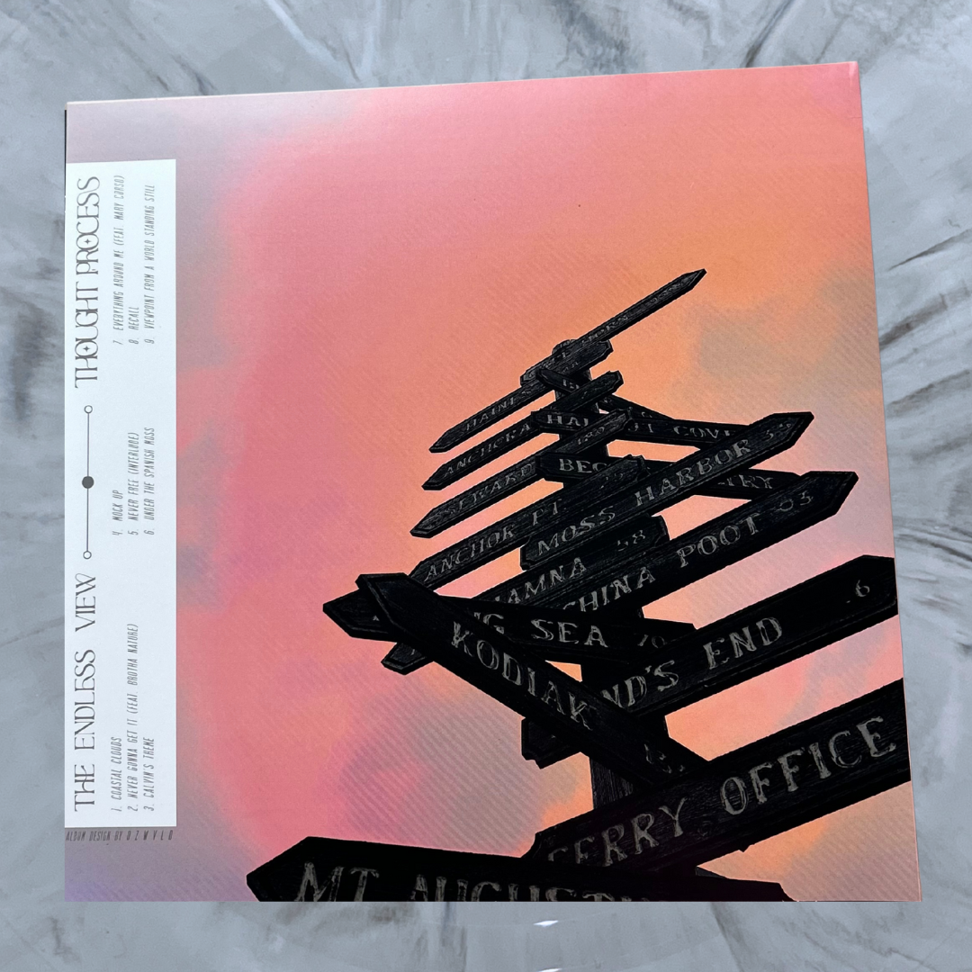 'The Endless View' Vinyl